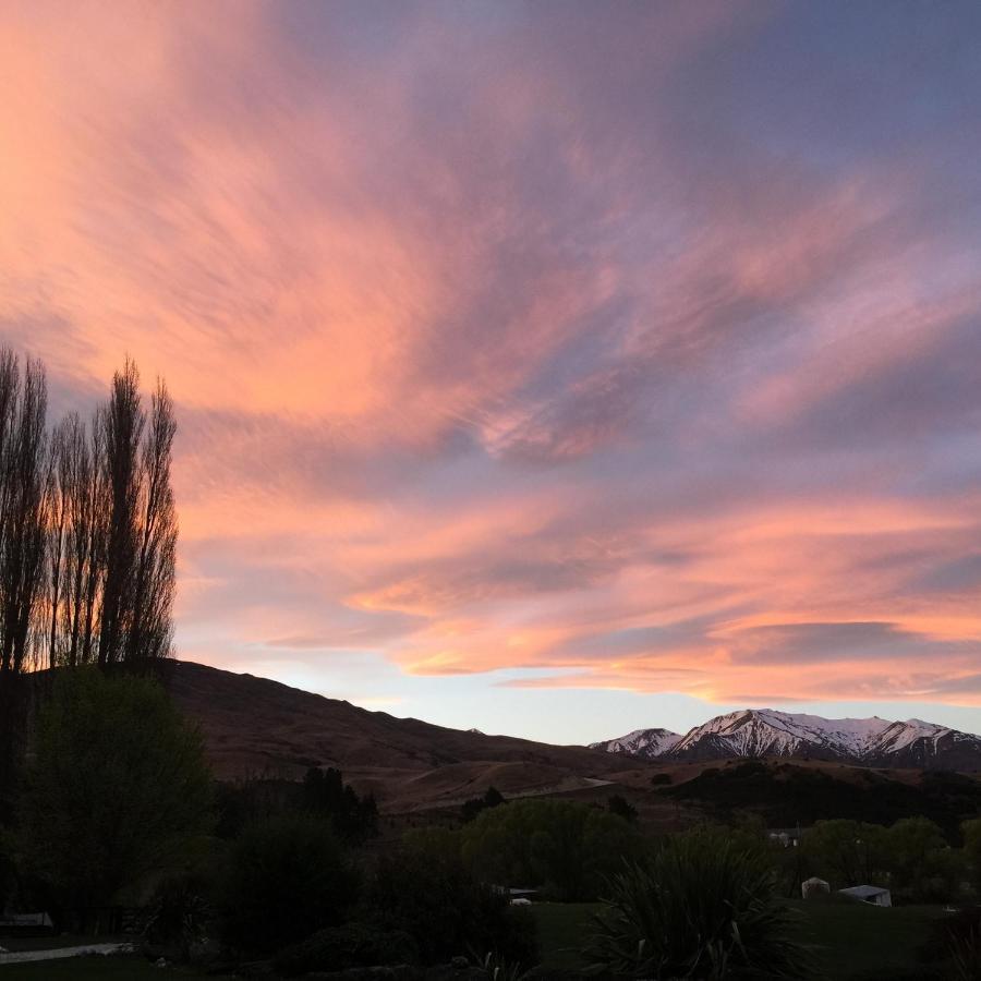 Cardrona ワイオラウ ホームステッド Bed & Breakfast エクステリア 写真